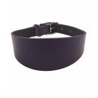 352-PURPLE
